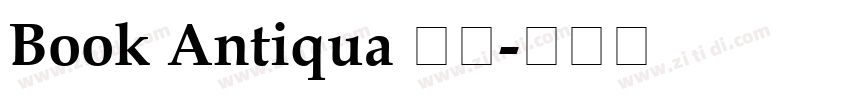 Book Antiqua 常规字体转换
